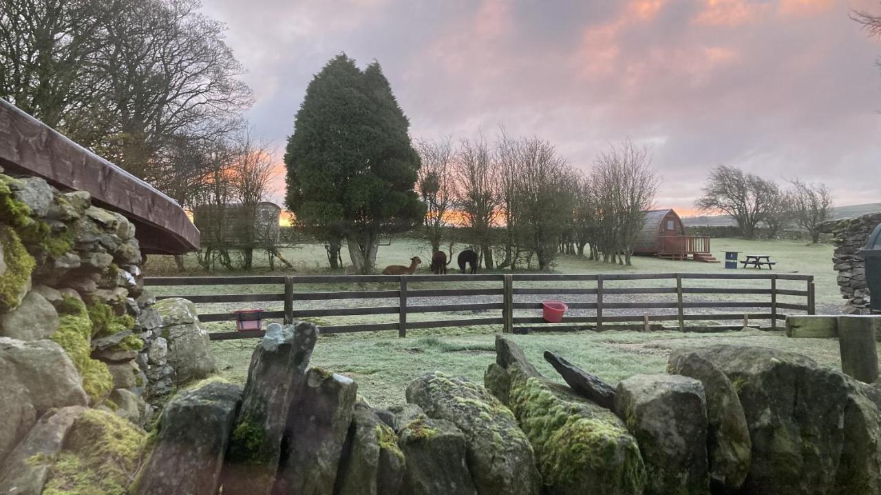 Llwyn Onn Guest House, North Wales Pentrefoelas Bagian luar foto